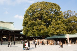 ishikawa